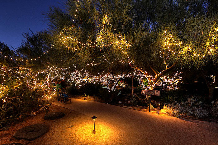 Holiday lights at Tohono Chul Park 2